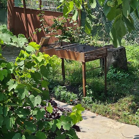 "Budur" Guest House Gandzakar 外观 照片