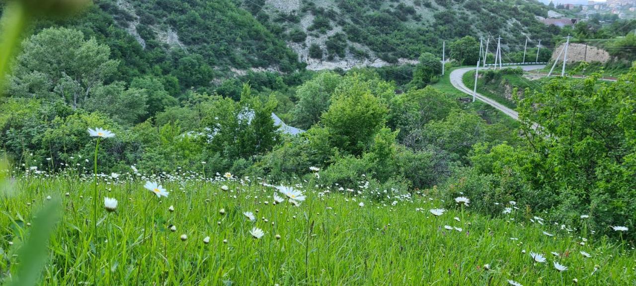"Budur" Guest House Gandzakar 外观 照片