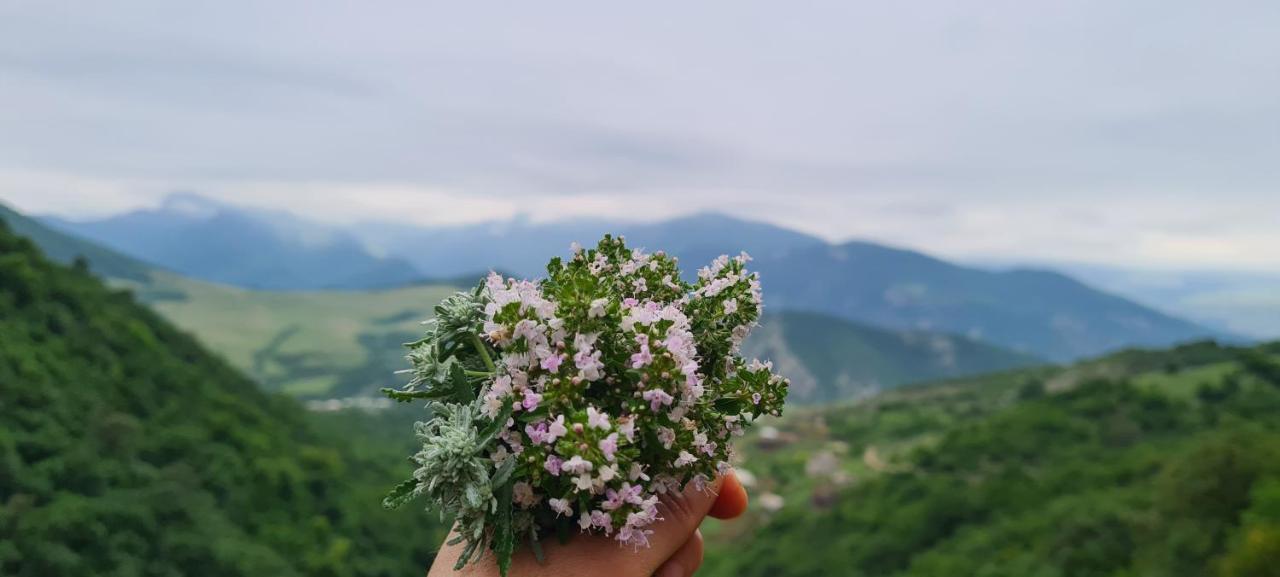"Budur" Guest House Gandzakar 外观 照片